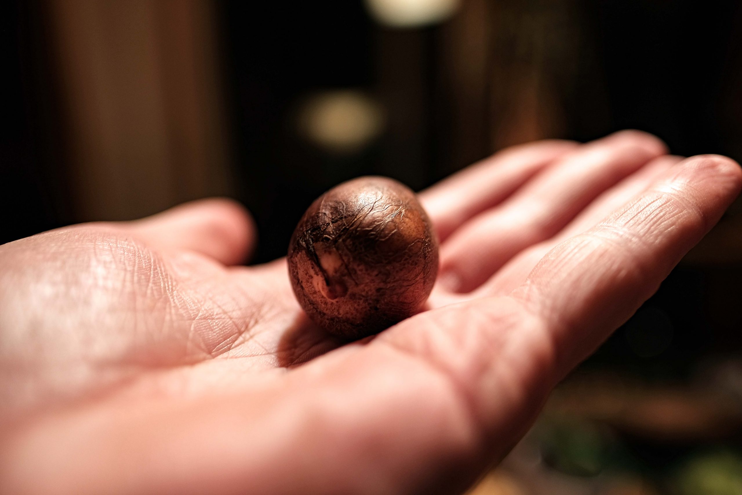 As tu un avocat ?